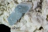 Aquamarine Crystal in Albite Crystal Matrix - Pakistan #111352-2